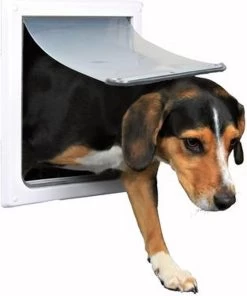 Trixie 2-Weg Hondenluik Wit - XS-S 25 X 29 CM -Dierenwinkel 1000x1200 3