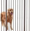 Savic Dog Barrier Afsluithek - Hondenhek Verlengstuk Voor Afsluithek -Dierenwinkel 1020x1200 1