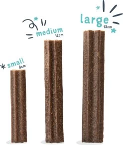 Edgard & Cooper Doggy Dental Sticks Appel - Eucalyptusolie Medium -Dierenwinkel 1023x1200