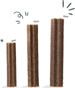 Edgard & Cooper Doggy Dental Sticks Appel - Eucalyptusolie Medium -Dierenwinkel 1028x1200