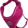 DDOXX Hondenharnas, Reflecterend, Verstelbaar, Breakaway | Borstharnas Voor Klein, Middelgroot | Hondenharnas Hond Kat Puppy Auto | Kattenharnas Puppy Harnas | Roze Roze, S -Dierenwinkel 1032x1200 2
