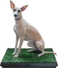 Adori Trainingsmat Gras - Hondentoilet - 50x63 Cm Multi-Color 8 Adori Trainingsmat Gras - Hondentoilet - 50x63 Cm Multi-Color -Dierenwinkel 1034x1200 3
