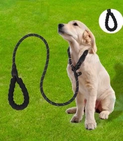 Nixnix - Honden Riem - 1,7cm - Zwart - 1,2cm Dik - Sliplijn - Nylon - Hondenriem - Verstelbaar - Jachtlijn Met Stop - Leiband -Dierenwinkel 1042x1200 1
