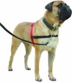 Company Of Animals Halti Harnass - Anti Trektuigje - Hond - Large - Borstomvang Boven De 80 Cm – Zwart -Dierenwinkel 1065x1200 4