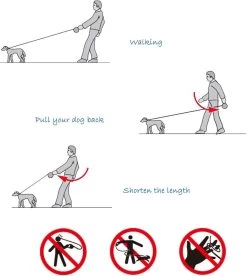 IGOODS - Uitlaatriem - Honden Riem - Katten Riem - Uitlaatriem Voor Dieren Rollijn - Hondenriem - 5 Meter Lang - Grijs -Dierenwinkel 1072x1200 2