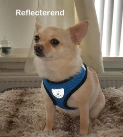 Luxyana® Hondentuigje - S - 28-32cm - Geschikt Voor Kleine Honden En Als Kattenharnas - Easy Step-in Hondentuigje Voor De Kleine Hond Of Kat - Inclusief Bijpassend Riempje - Zwart -Dierenwinkel 1076x1200 5