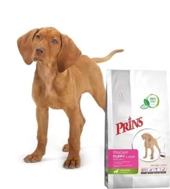 Prins Procare Daily Care Graanvrij - Hondenvoer - 7,5 Kg 18 Prins Procare Daily Care Graanvrij - Hondenvoer - 7,5 Kg -Dierenwinkel 1078x1200