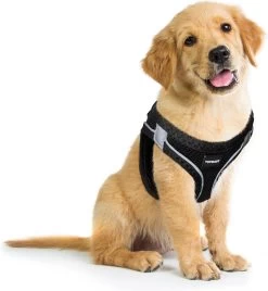 Topmast Airmesh Hondentuig - Click & Go - Petrol - L - Reflecterend - Harnas Hond - Hondentuigje - Hondenharnas - Voor Puppy, Kleine, Medium En Grote Hond 8 Topmast Airmesh Hondentuig - Click & Go - Petrol - L - Reflecterend - Harnas Hond - Hondentuigje - Hondenharnas - Voor Puppy, Kleine, Medium En Grote Hond -Dierenwinkel 1104x1200 4