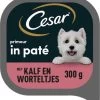 Cesar Primeur Paté Honden Natvoer - Kalf & Worteltjes - 10 X 300 Gr 2 Cesar Primeur Paté Honden Natvoer - Kalf & Worteltjes - 10 X 300 Gr -Dierenwinkel 1107x1200