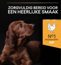 Pro Plan Healthy Start Puppy Large Athletic - Honden Droogvoer - Kip - 12 Kg -Dierenwinkel 1110x1200