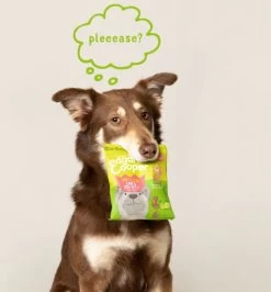 Merkloos Edgard & Cooper Lam & Rund Bites - Voor Honden - Hondensnack - 50g 22 Merkloos Edgard & Cooper Lam & Rund Bites - Voor Honden - Hondensnack - 50g -Dierenwinkel 1115x1200