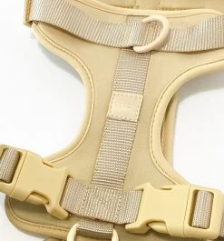 Pood Anti-Trek Hondentuig - Verstelbaar Stijlvol Hondenharnas - Y Tuig - XS Kleine Hond - Beige 10 Pood Anti-Trek Hondentuig - Verstelbaar Stijlvol Hondenharnas - Y Tuig - XS Kleine Hond - Beige -Dierenwinkel 1118x1200 7