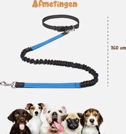 Hardloopriem Hond – Honden Riem Handsfree – Hardlopen Met Hond – 160-260 Cm Blauw - Hardloopband Hond – Halsband Hond – Hondenlijn – Leiband Hond -Dierenwinkel 1124x1200 4