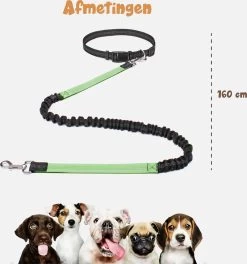 Hardloopriem Hond – Honden Riem Handsfree – Hardlopen Met Hond – 160-260 Cm Groen- Hardloopband Hond – Halsband Hond – Hondenlijn – Leiband Hond -Dierenwinkel 1124x1200 5