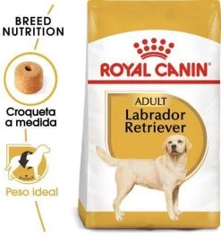 Royal Canin Labrador Retriever Adult 12 KG -Dierenwinkel 1125x1200 1