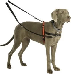 Company Of Animals Halti Trainingslijn - Large - 2 Meter - Verstelbaar - Zwart -Dierenwinkel 1145x1200 3