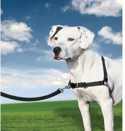 Petsafe Easy Walk® Deluxe Harness - Hondentuigje - Blauw - M - 1,8 M 22 Petsafe Easy Walk® Deluxe Harness - Hondentuigje - Blauw - M - 1,8 M -Dierenwinkel 1145x1200 4