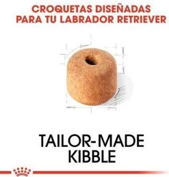 Royal Canin Labrador Retriever Adult 12 KG -Dierenwinkel 1146x1200 1