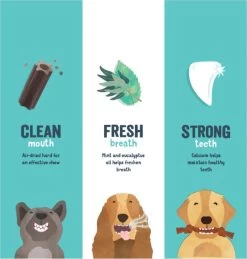 Edgard & Cooper Doggy Dental Sticks Appel - Eucalyptusolie Medium -Dierenwinkel 1146x1200