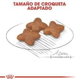 Royal Canin Mini Adult 8 KG -Dierenwinkel 1149x1200