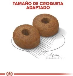 Royal Canin Maxi Ageing 8+ 15 KG 27 Royal Canin Maxi Ageing 8+ 15 KG -Dierenwinkel 1149x1200 6