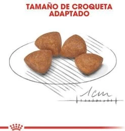 Royal Canin X-Small Puppy - Hondenvoer - 1.5 Kg -Dierenwinkel 1151x1200 1