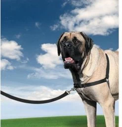 PetSafe Easy Walk® - Hondentuigje - Zwart - L - 66-91 Cm -Dierenwinkel 1152x1200 5