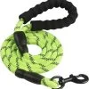 Comfortabele Hondenriem Met Gevoerd Handvat – Stevige Nylon Hondenlijn – Riem Voor Honden -Dierenwinkel 1153x1200 7