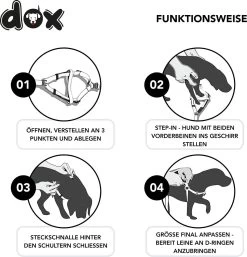 DDOXX Hondenharnas Nylon, Step-In, Verstelbaar, Uitbraakbestendig | Voor Kleine, Middelgrote & Grote Honden | Borstharnas Hond Kat Puppy Auto | Puppy Harnas Kat Harnas | Zwart, S -Dierenwinkel 1155x1200 6