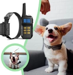 Anti Blafband Met Afstandsbediening - Blafband Voor Honden - Anti Blaf Apparaat Zonder Schok - Twee In Een Trainingshalsband 15 Anti Blafband Met Afstandsbediening - Blafband Voor Honden - Anti Blaf Apparaat Zonder Schok - Twee In Een Trainingshalsband -Dierenwinkel 1156x1200 4