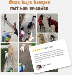 Dubbele Honden Riem – Leiband Hond – Hondenlijn – Looplijn Hond – 2 Honden – 3 Meter – Tot 12kg Per Hond – Reflecterende Lijnen – Met Zaklamp – 360° Draaien – Verstelbaar - Zwart -Dierenwinkel 1160x1200 9
