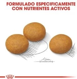 Royal Canin Dermacomfort Maxi - Hondenvoer - 12 Kg -Dierenwinkel 1161x1200 1