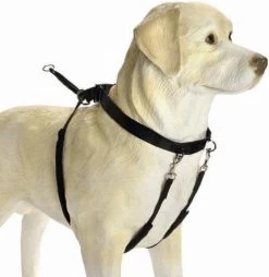 Beeztees Gentle Walker - Hondentuig - Zwart - M 13 Beeztees Gentle Walker - Hondentuig - Zwart - M -Dierenwinkel 1166x1200 10