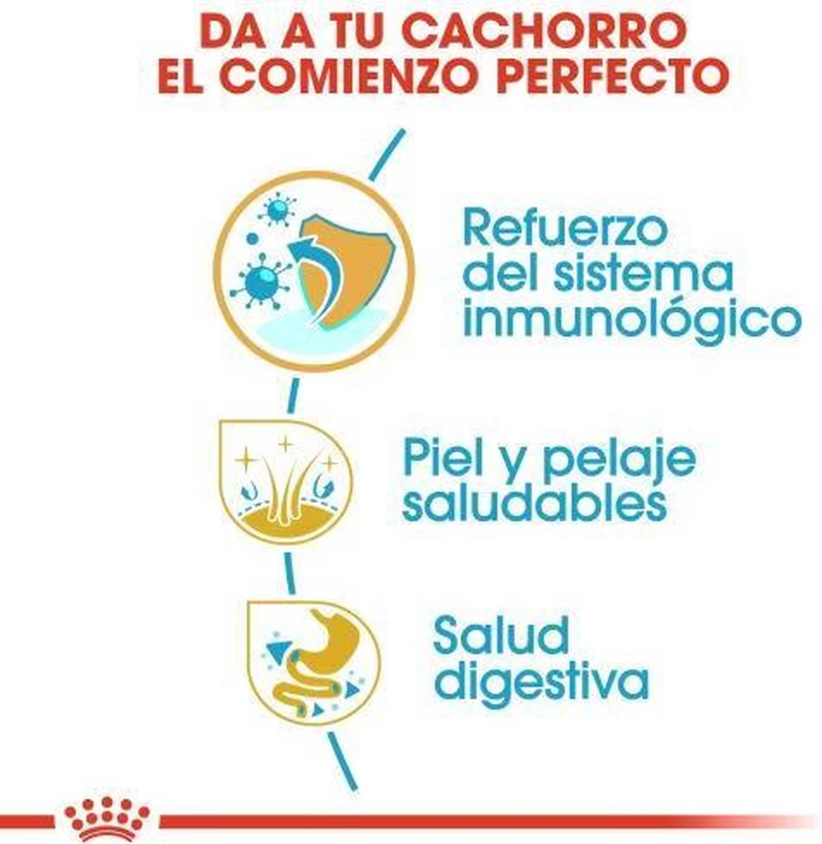 Royal Canin Golden Retriever Junior 12 KG 10 Royal Canin Golden Retriever Junior 12 KG - Afbeelding 8