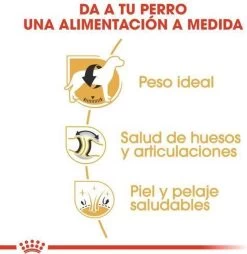 Royal Canin Labrador Retriever Adult 12 KG -Dierenwinkel 1168x1200