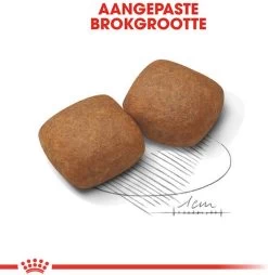 Royal Canin Giant Junior 15 KG -Dierenwinkel 1169x1200 1