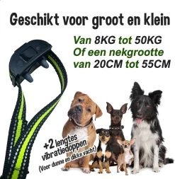 Blaffie® Anti Blafband – Trainingshalsband Voor Kleine En Grote Honden – Oplaadbaar– Anti Blaf Apparaat – Zonder Schok – Diervriendelijk - Blafband Voor Honden 12 Blaffie® Anti Blafband – Trainingshalsband Voor Kleine En Grote Honden – Oplaadbaar– Anti Blaf Apparaat – Zonder Schok – Diervriendelijk - Blafband Voor Honden -Dierenwinkel 1171x1200 13