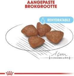 Royal Canin Mini Starter Mother & Babydog - Puppy-Hondenvoer - 8 Kg 11 Royal Canin Mini Starter Mother & Babydog - Puppy-Hondenvoer - 8 Kg -Dierenwinkel 1171x1200 5