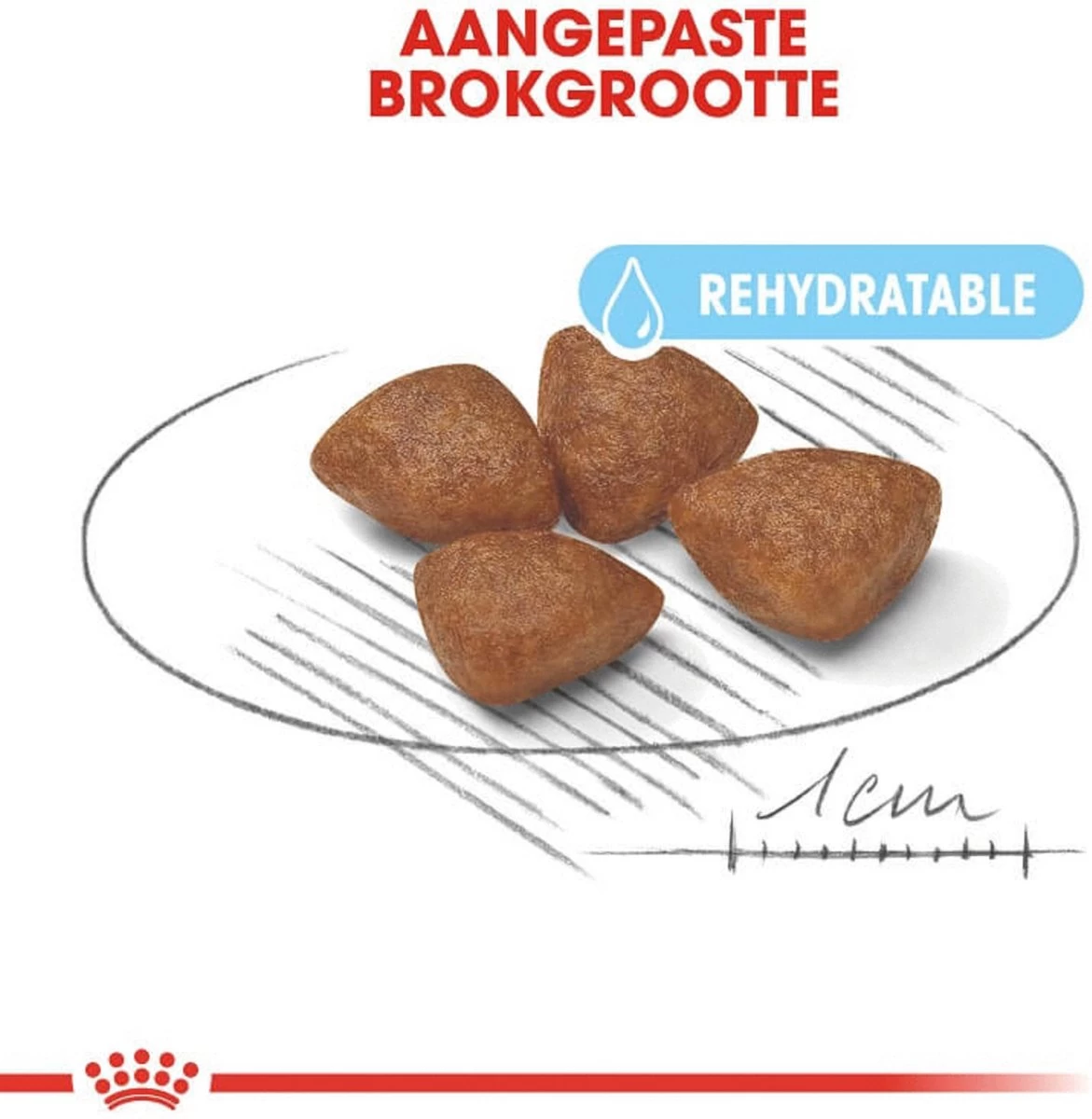 Royal Canin Mini Starter Mother & Babydog - Puppy-Hondenvoer - 8 Kg 4 Royal Canin Mini Starter Mother & Babydog - Puppy-Hondenvoer - 8 Kg - Afbeelding 2