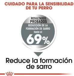 Royal Canin Ccn Dental Care Mini - Hondenvoer - 3 Kg -Dierenwinkel 1171x1200 8