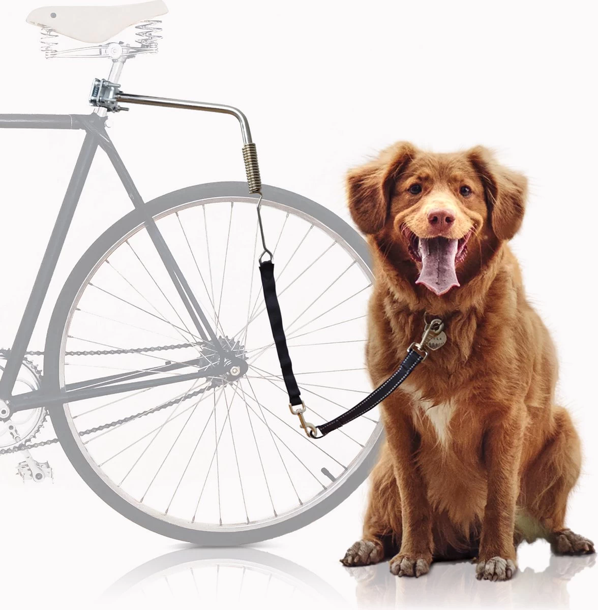 Bella & Balu Hondenriem Voor Fiets | Fietsriem Incl. Bevestiging Voor Zadelpen, Afstandhouder, Korte Geleider, Spiraalveer, Riem En Reflectoren - Voor Veilig Fietsen Met Hond 3 Bella & Balu Hondenriem Voor Fiets | Fietsriem Incl. Bevestiging Voor Zadelpen, Afstandhouder, Korte Geleider, Spiraalveer, Riem En Reflectoren - Voor Veilig Fietsen Met Hond