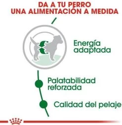 Royal Canin Mini Adult 8 KG -Dierenwinkel 1177x1200