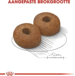 Royal Canin Maxi Ageing 8+ 15 KG 23 Royal Canin Maxi Ageing 8+ 15 KG -Dierenwinkel 1179x1200 1