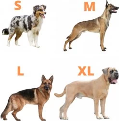 Always Prepared © Pro K9 Complete Set – Anti Trek Tuig – Honden Harnas – Y Tuig Hond – Trainings Riem – Best Getest 2022 – Halsband Hond – Middel En Grote Hond – Honden Tuigje – Harnas Hond – Veiligheidstuig – 450KG Anti Trek Test – Combi Deal 40 Always Prepared © Pro K9 Complete Set – Anti Trek Tuig – Honden Harnas – Y Tuig Hond – Trainings Riem – Best Getest 2022 – Halsband Hond – Middel En Grote Hond – Honden Tuigje – Harnas Hond – Veiligheidstuig – 450KG Anti Trek Test – Combi Deal -Dierenwinkel 1179x1200 17