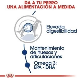 Royal Canin Maxi Adult 5+ Jaar Oud - Hondenvoer - 15 Kg -Dierenwinkel 1180x1200 2