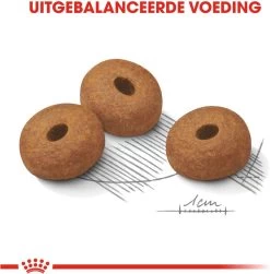 Royal Canin Light Weight Care Maxi - Hondenvoer - 12 Kg 15 Royal Canin Light Weight Care Maxi - Hondenvoer - 12 Kg -Dierenwinkel 1181x1200