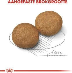 Royal Canin Medium Adult 15 KG -Dierenwinkel 1182x1200 1
