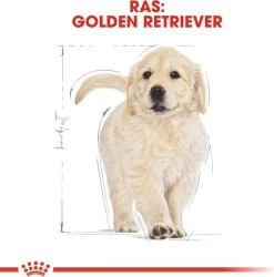 Royal Canin Golden Retriever Junior 12 KG 24 Royal Canin Golden Retriever Junior 12 KG -Dierenwinkel 1184x1200 2