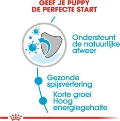 Royal Canin Shn Medium Puppy Pouch - Hondenvoer - 10 X 140 G 33 Royal Canin Shn Medium Puppy Pouch - Hondenvoer - 10 X 140 G -Dierenwinkel 1184x1200 4