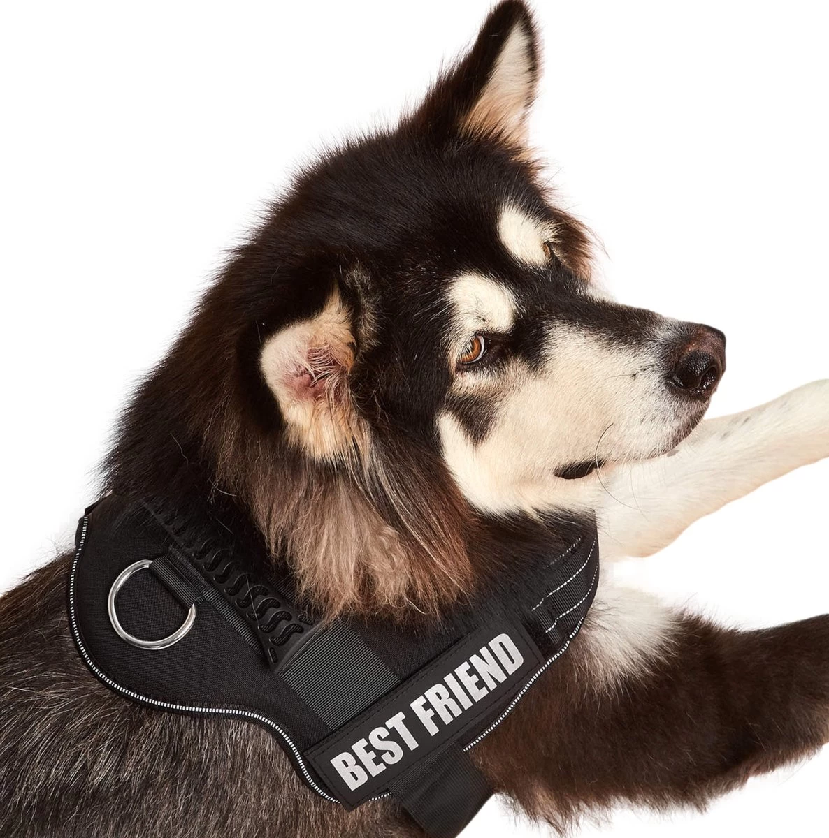 Woofy Hondentuig - Anti Trek - Hondenharnas - Reflecterend - Verstelbaar 7 Woofy Hondentuig - Anti Trek - Hondenharnas - Reflecterend - Verstelbaar - Afbeelding 5